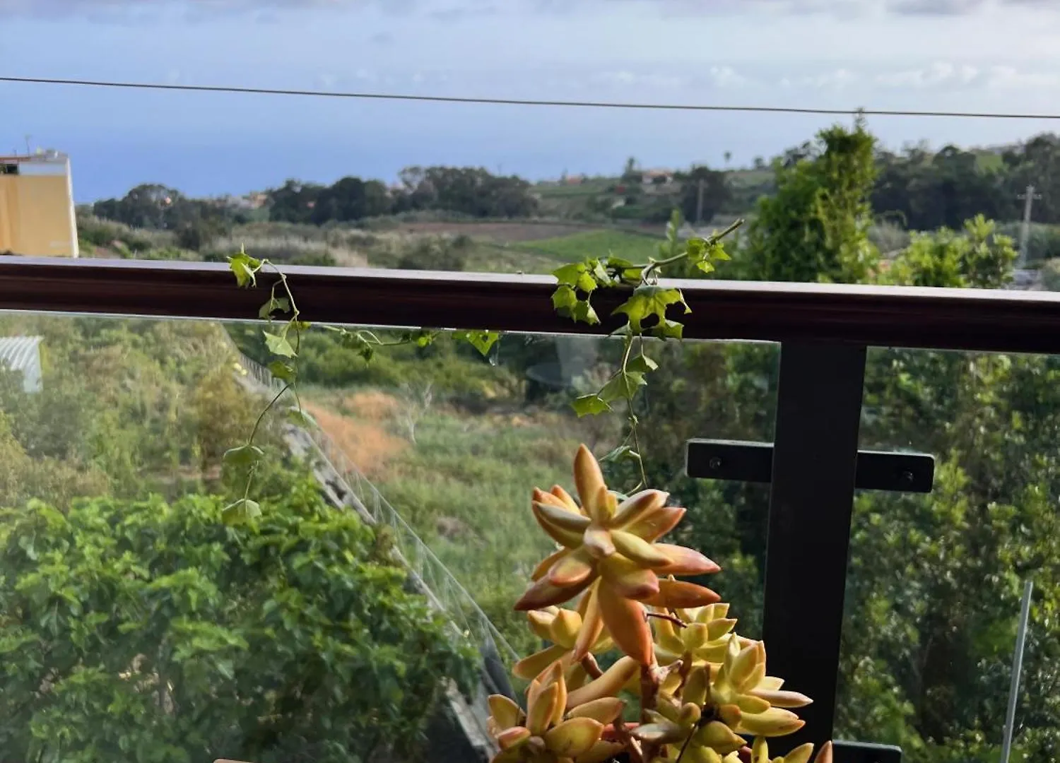 Casa Maricarmen Villa Tacoronte Spanien
